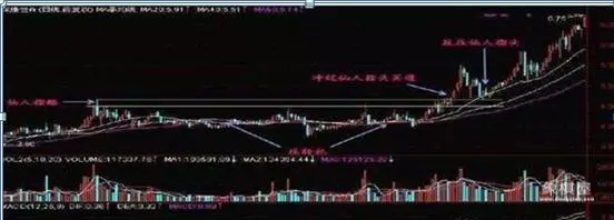 仙人指路象棋书籍哪里出焦