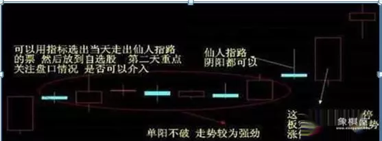 仙人指路象棋书籍哪里出焦