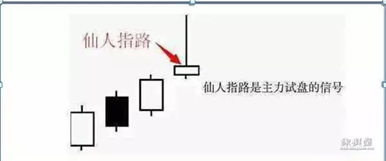仙人指路象棋书籍哪里出焦
