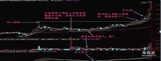 仙人指路象棋书籍哪里出焦