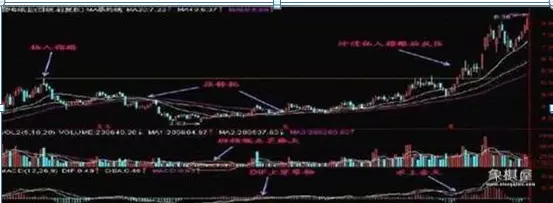 仙人指路象棋书籍哪里出焦