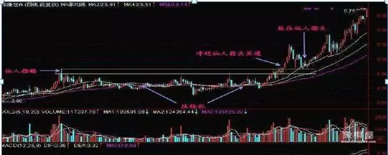 周线有仙人指路k线吗