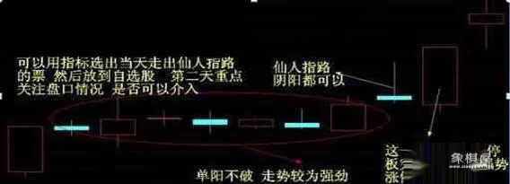 周线有仙人指路k线吗