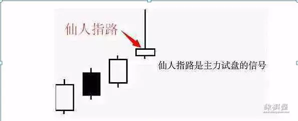 仙人指路k线图日线还是周线