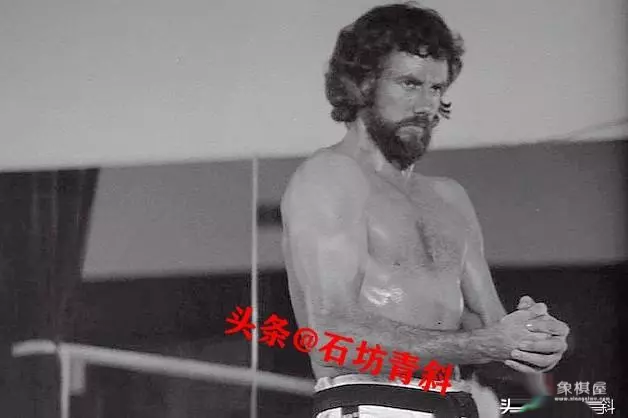 江湖龙争虎斗剧情