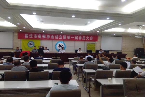 象棋协会的资金来源（象棋协会的资金来源，如何汇聚棋艺爱好者的力量）.