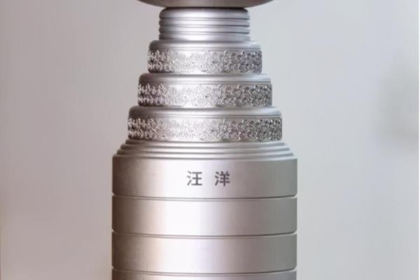 中国象棋下棋规则（探寻中国象棋的神秘魅力，你了解它的规则吗）.