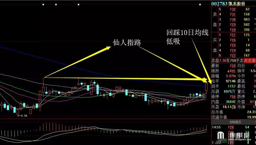 仙人指路洗盘三天出妖股