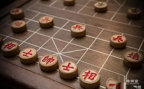 象棋特大师王天一简历