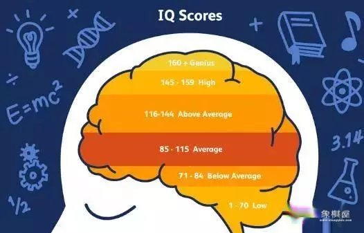 象棋水平高的人智商高吗