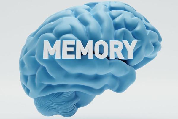 6岁儿童每天下象棋的好处（小小棋盘，如何助力孩子智力大提升）.