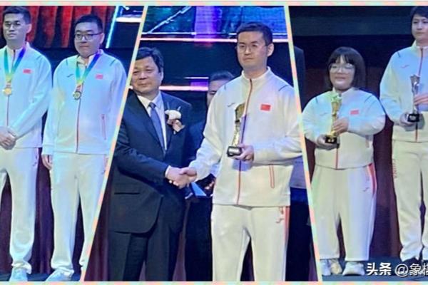 象棋全国个人赛报名（谁将成为下一位象棋全国个人赛冠军）.