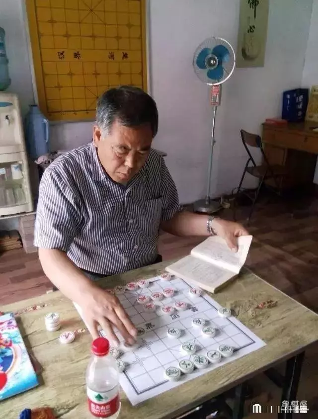 秦皇岛中国象棋大师排名表