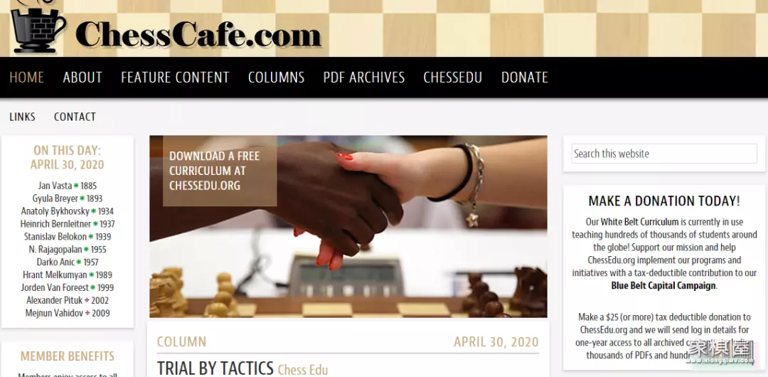 国际象棋软件大全