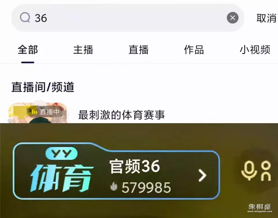 象棋大师单欣业几水平