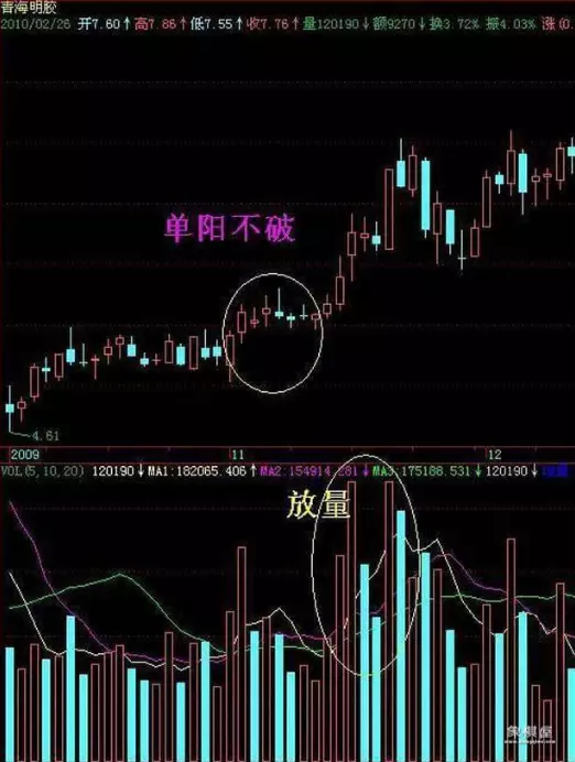 仙人指路游戏规则