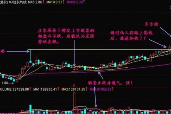k线仙人指路什么意思（揭开神秘 K 线图的隐藏信号，掌握股市先机！）.