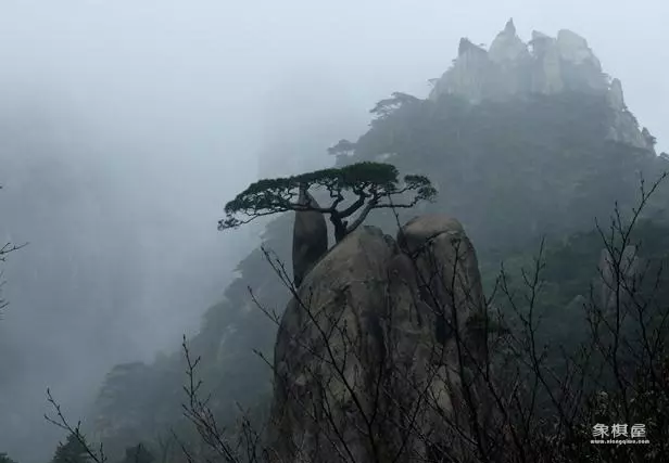 仙人指路的下一句