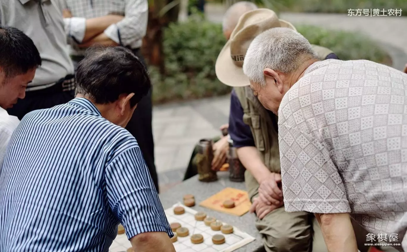 天天象棋最近对局棋谱怎么不见了