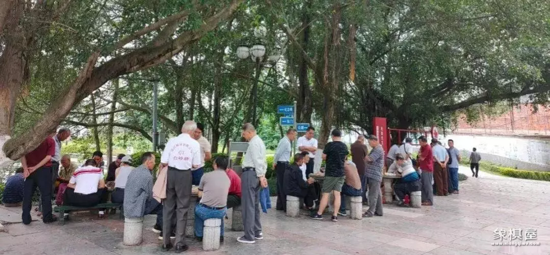 象棋里的相和象意义