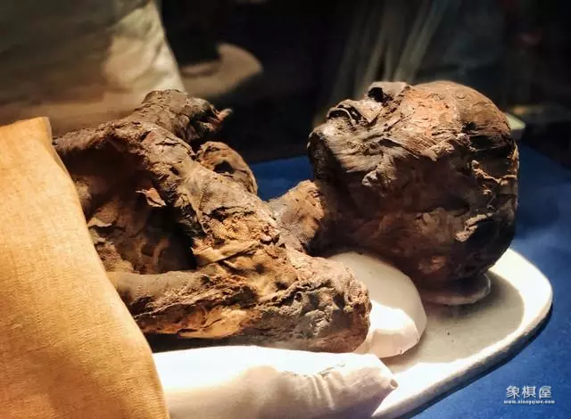 中国橘子之谜解密图解