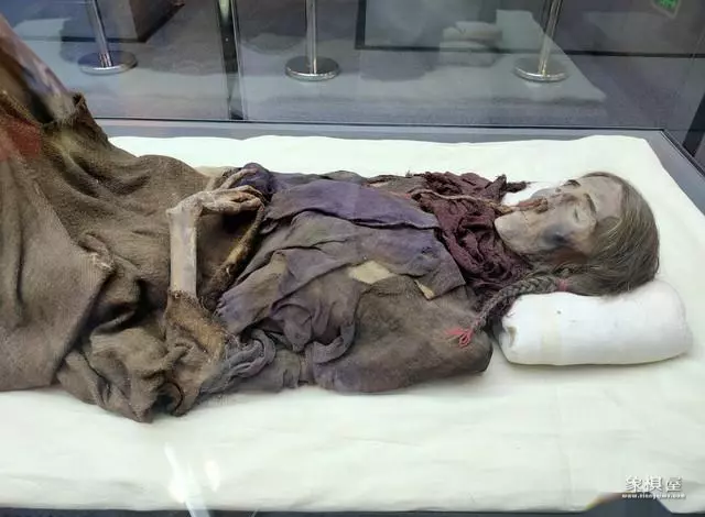 中国橘子之谜解密图解