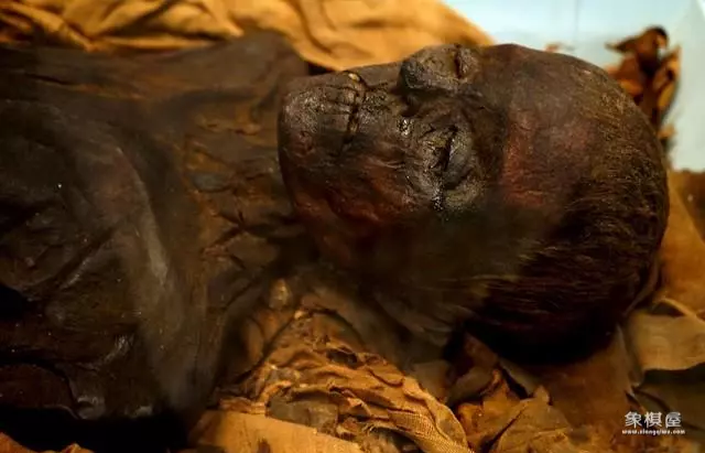 中国橘子之谜解密图解