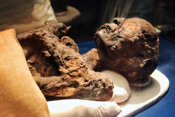 中国橘子之谜解密图解（揭开神秘的中国橘子之谜，竟然如此诱人！）.