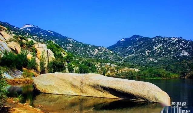 临沂象棋历届冠军