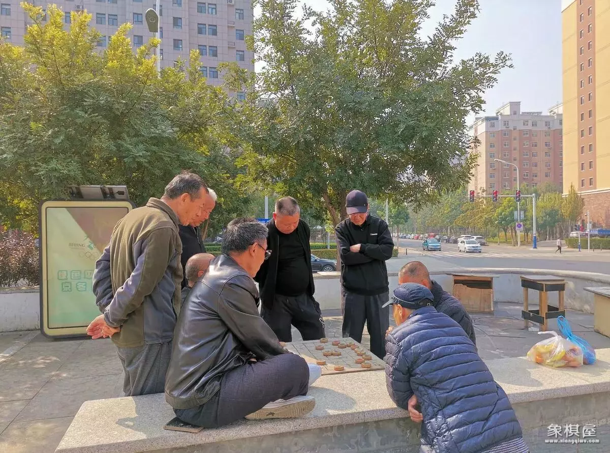 可以无限悔棋的象棋软件