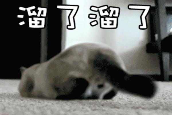 仙人跳是什么意思啊?（揭秘仙人跳背后的惊人真相，你敢看吗）.