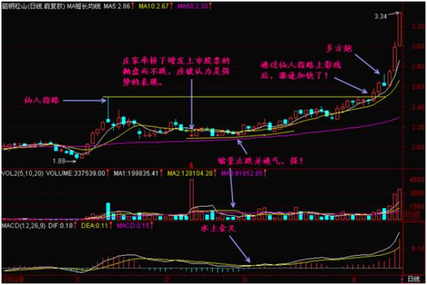 仙人指路要点（如何在迷茫时找到清晰的方向）.