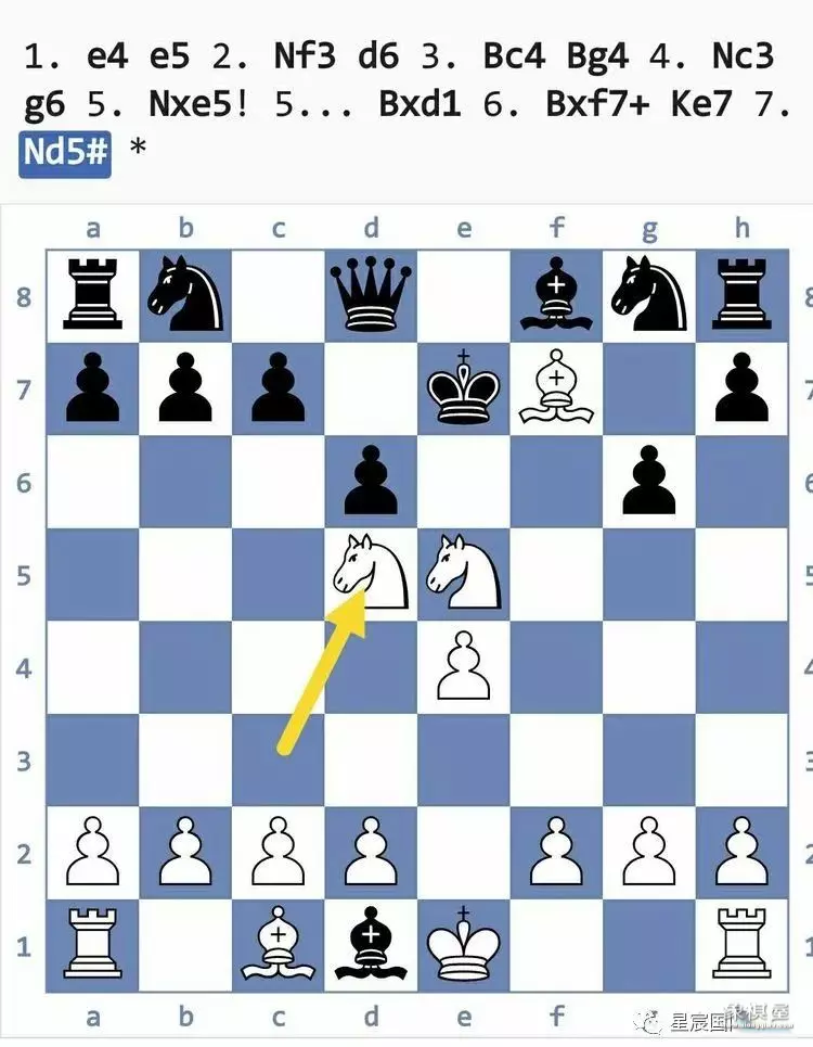 国际象棋后兵开局陷阱