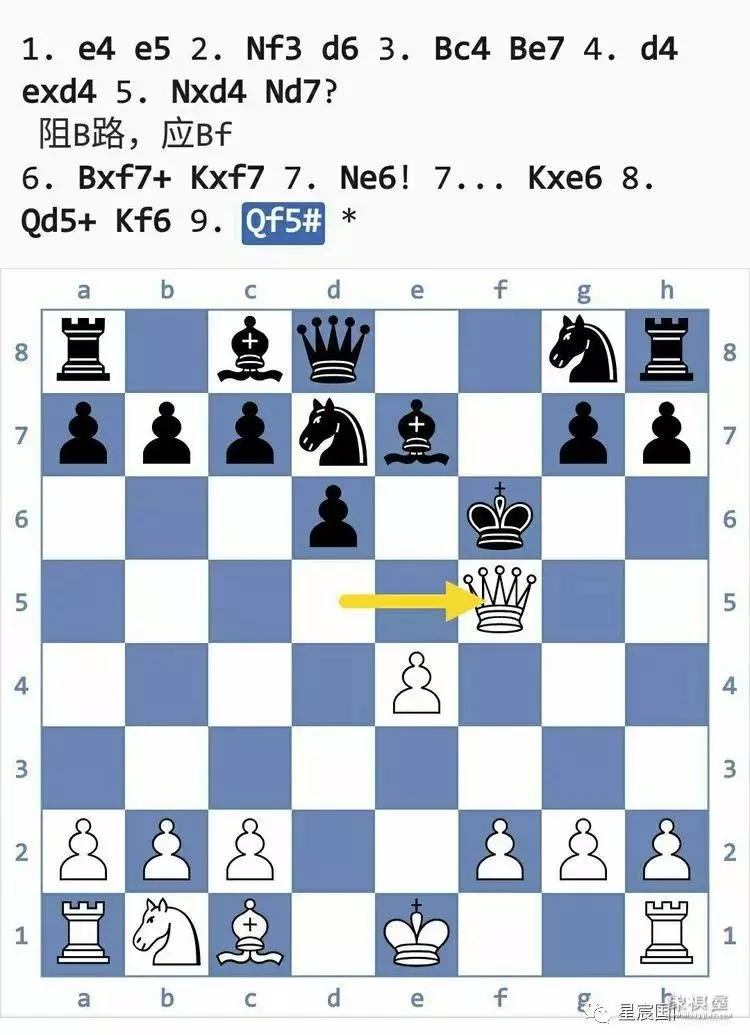 国际象棋后兵开局陷阱