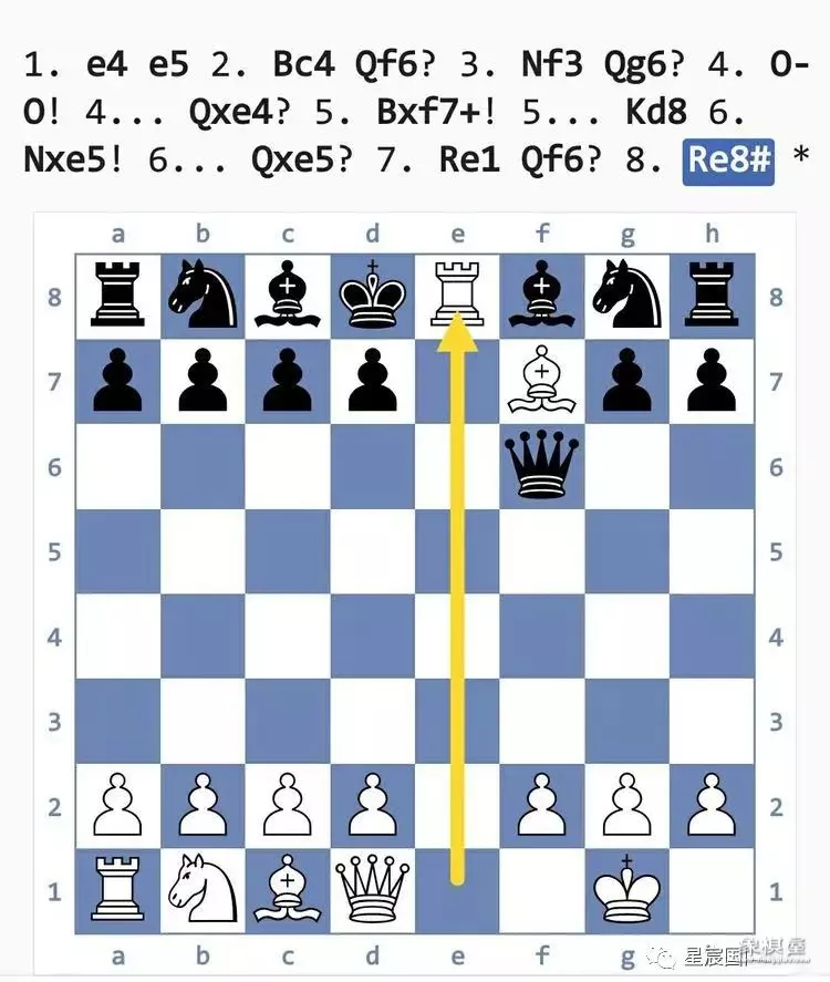 国际象棋后兵开局陷阱