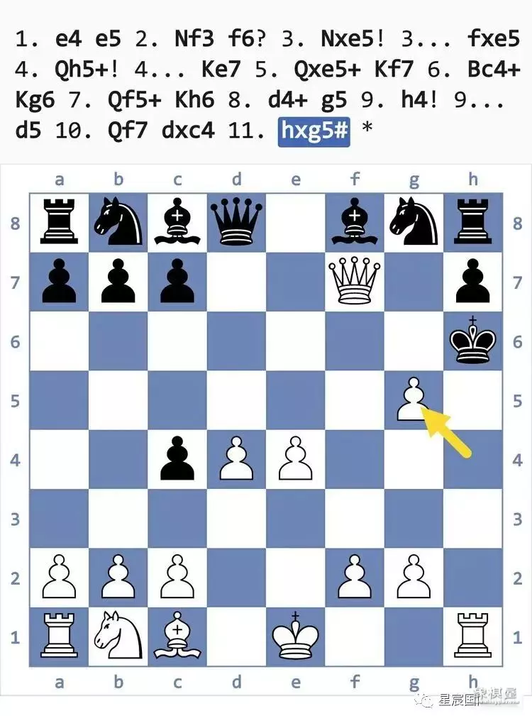 国际象棋后兵开局陷阱