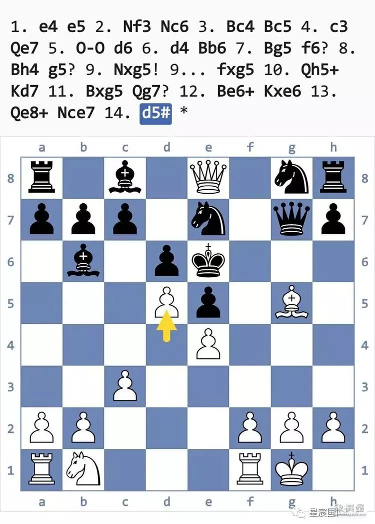 国际象棋后兵开局陷阱