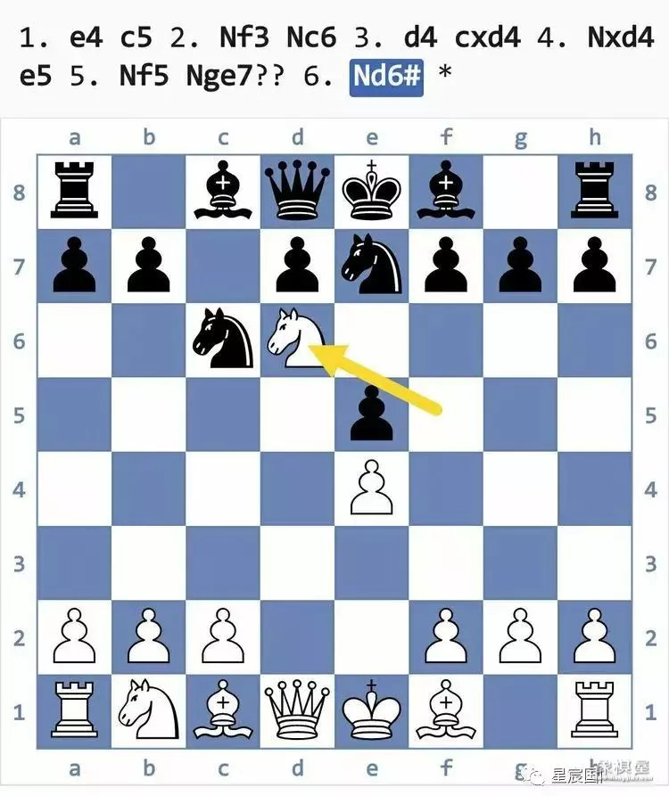 国际象棋后兵开局陷阱