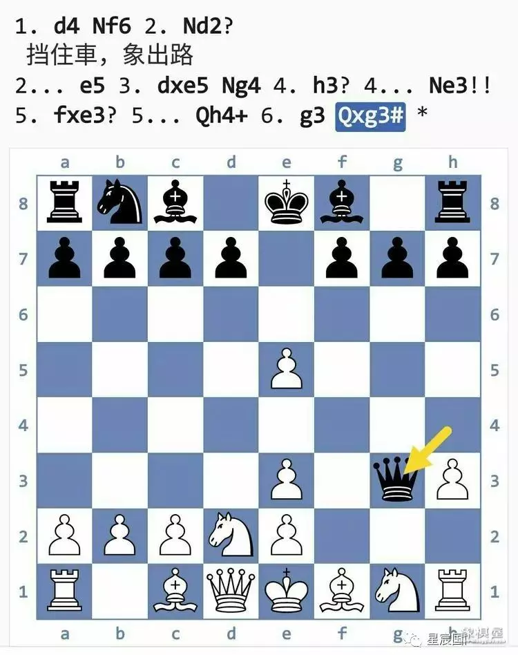 国际象棋后兵开局陷阱