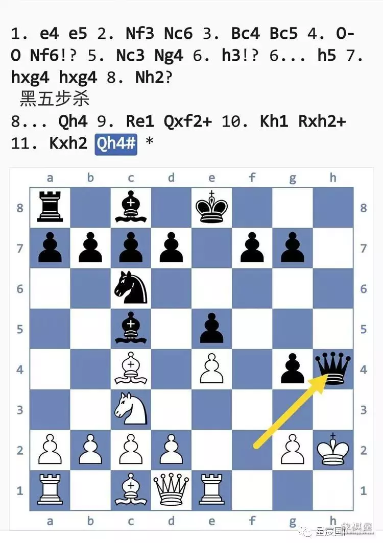 国际象棋后兵开局陷阱