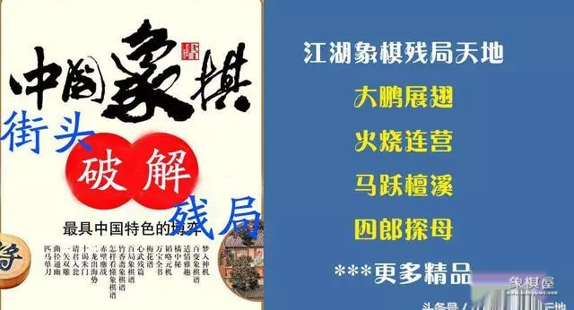 许银川得过多少全国冠军