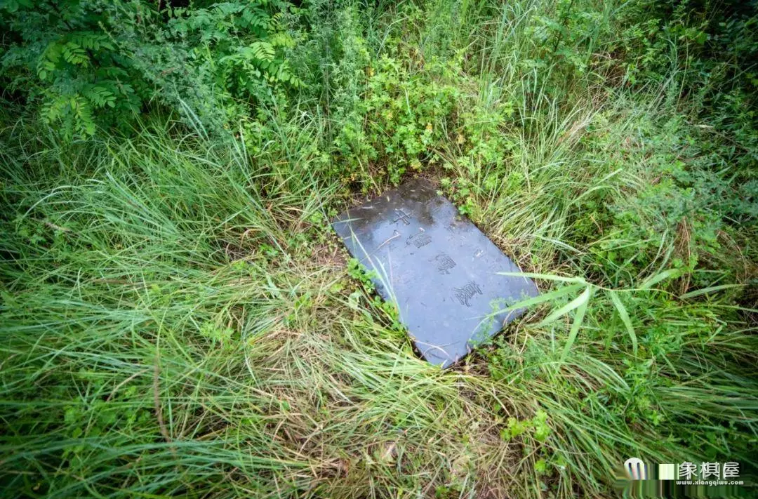 出土的唐代象棋大师名单是谁