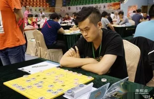 象棋破解对方走法软件