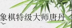 象棋大师在哪个平台下棋