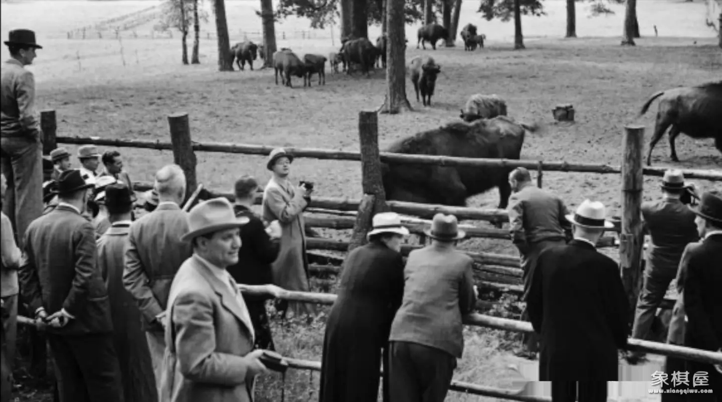 造人牛角象棋怎么玩