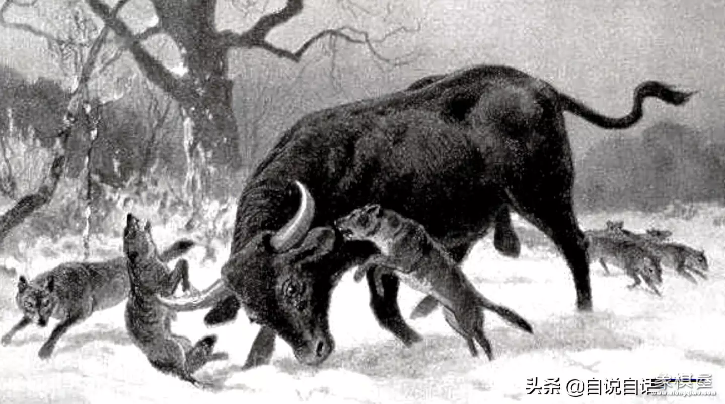 造人牛角象棋怎么玩