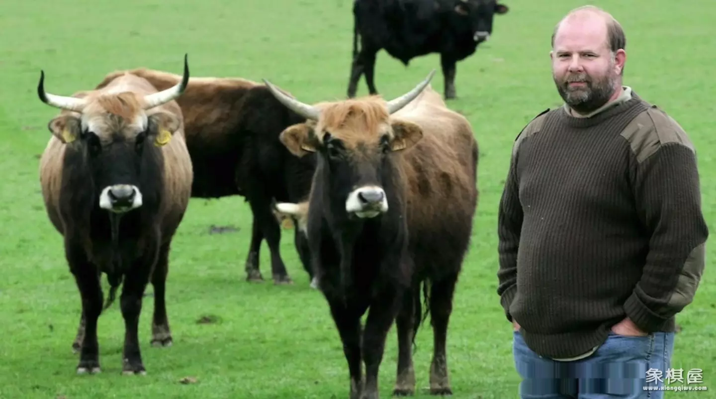 造人牛角象棋怎么玩