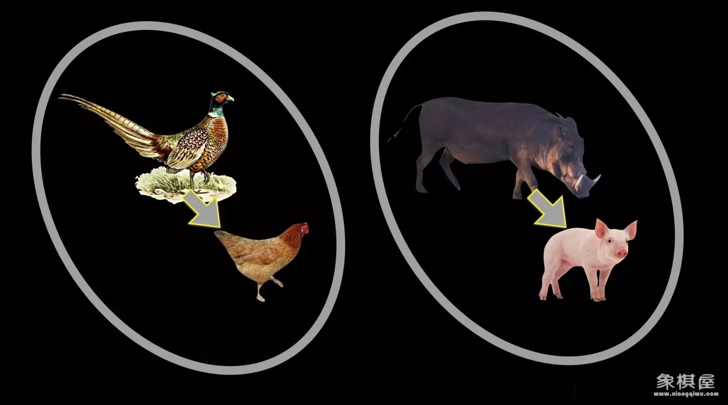 造人牛角象棋怎么玩