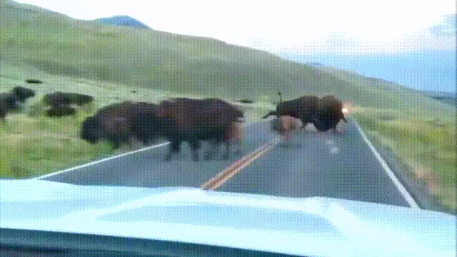 造人牛角象棋怎么玩