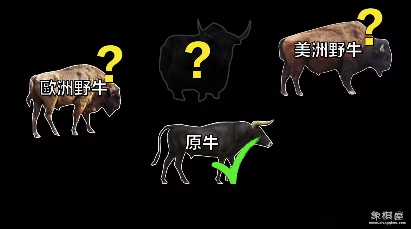 造人牛角象棋怎么玩